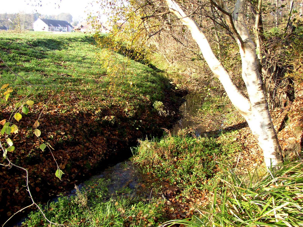 2011 11 Macrofaune benthique St Léger 11